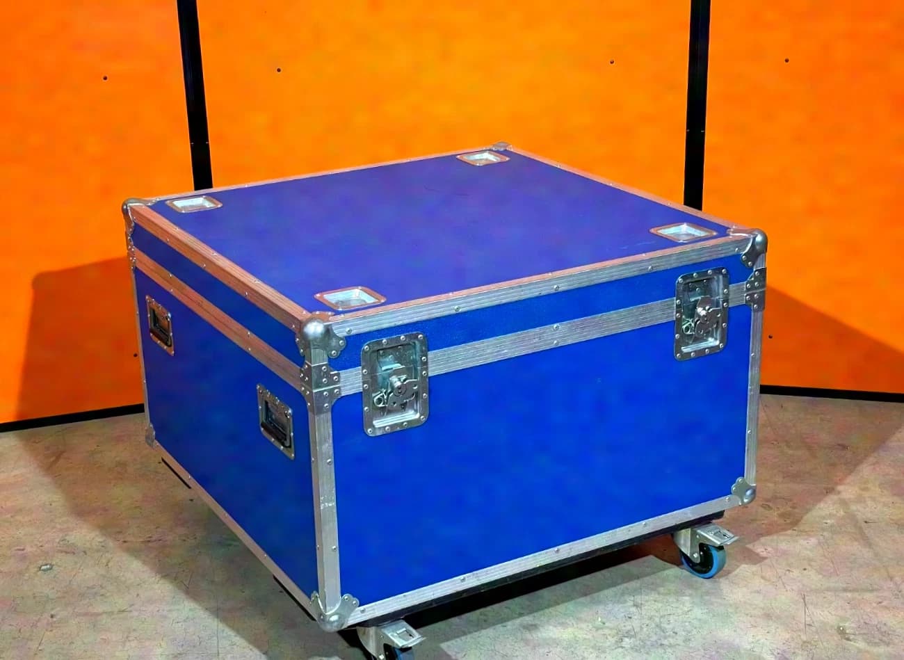 ANY CASE Trunk Case | blue