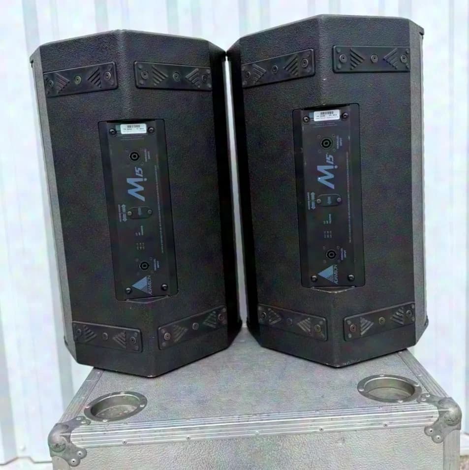 Adamson M15 – set of 4 Stage Monitor