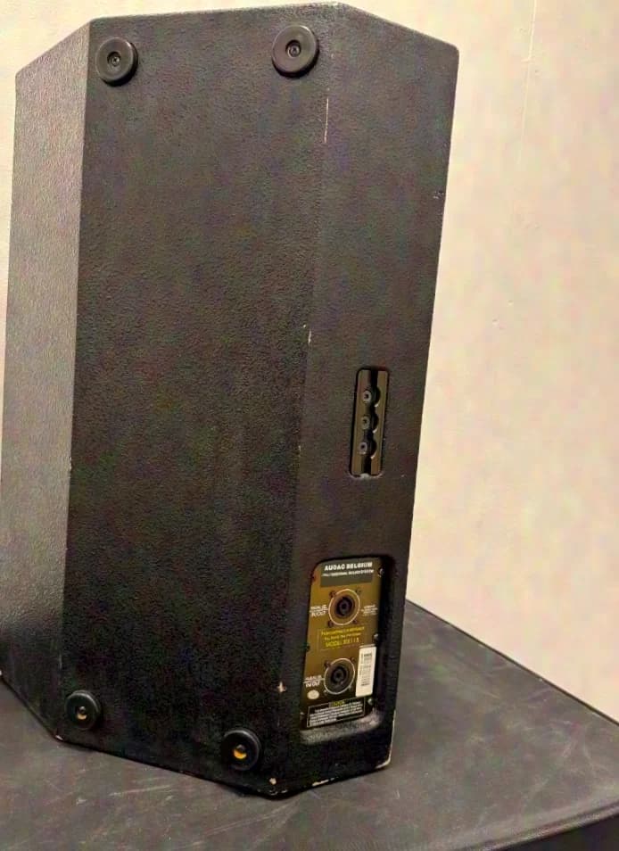 Audac RX115 Multifunctional Speaker Cabinet / Top / Fullrange / Monitor 2-way 15" and 1.3" compression driver