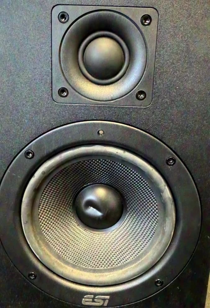 ESI Audiotechnik aktiv05 Active Speaker / Monitor Speaker Single Item