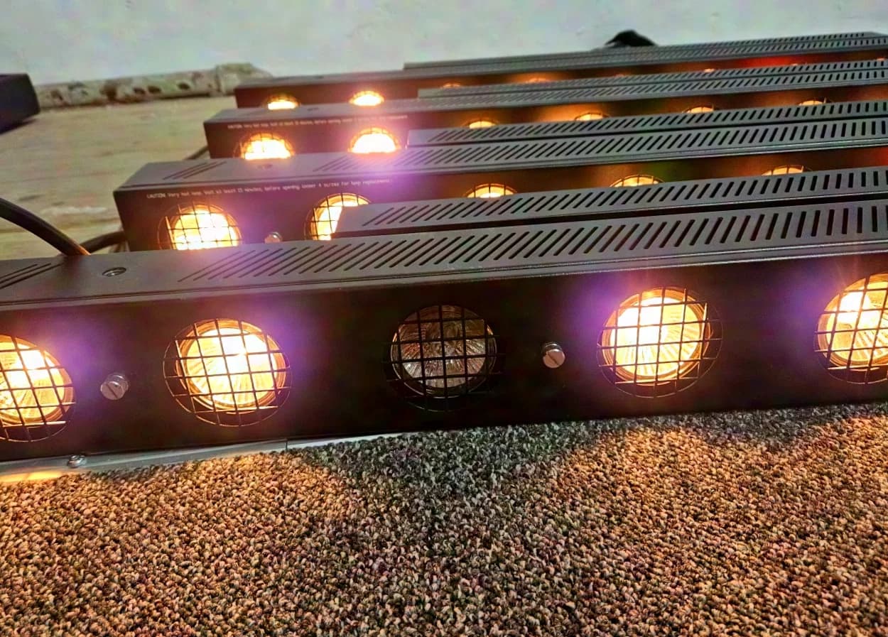 Ignition Strip Blinder X
