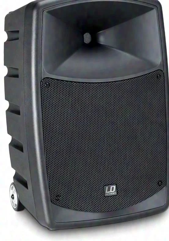 LD Systems ROADBUDDY 10 B5 Battery-Powered Bluetooth Speaker with Mixer and Wireless Microphone