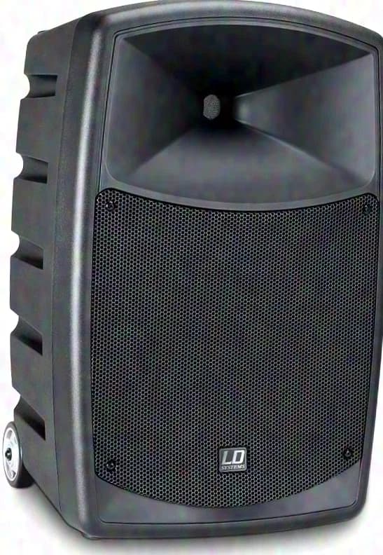 LD Systems ROADBUDDY 10 B5 Battery-Powered Bluetooth Speaker with Mixer and Wireless Microphone
