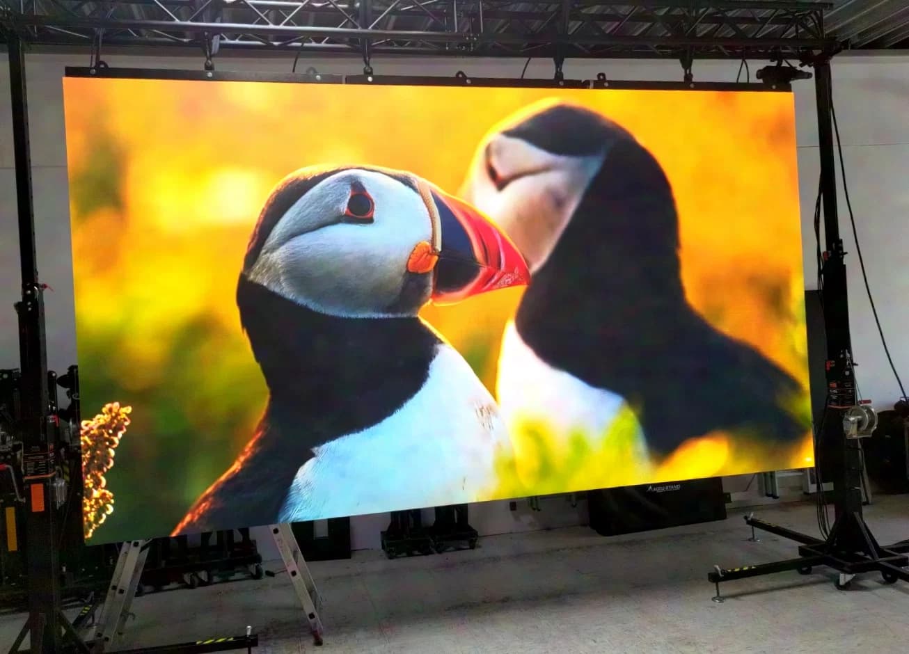 LEDitgo rXone V1 1.9mm LED Module 500x500mm 256x256px