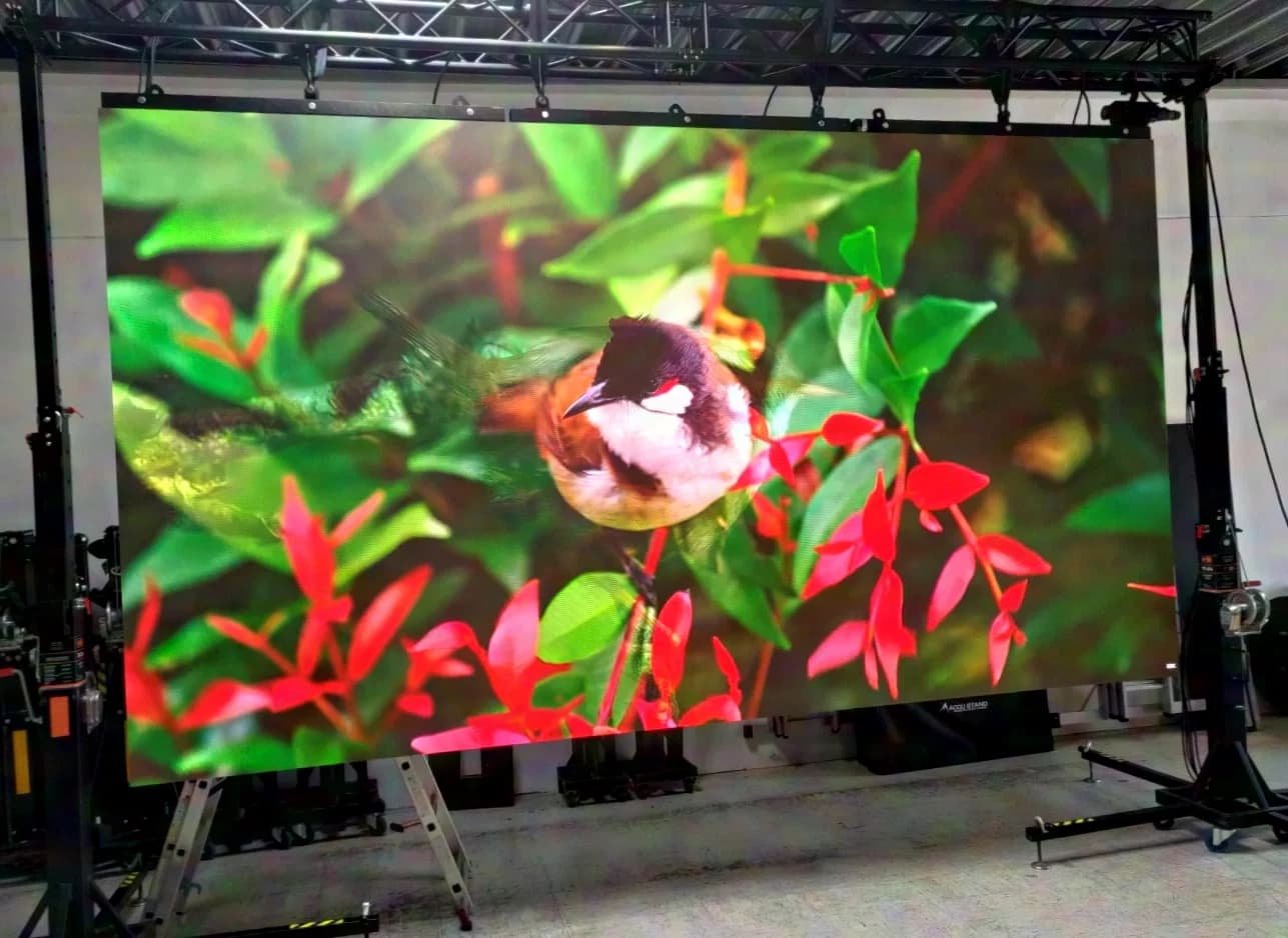 LEDitgo rXone V1 1.9mm LED Module 500x500mm 256x256px