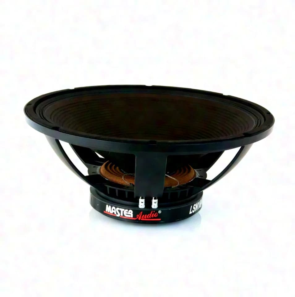 Master Audio LSN18/8 4 or 8 Ohm 18" 18 inch 800 w RMS cast basket PA woofer bass chassis speaker