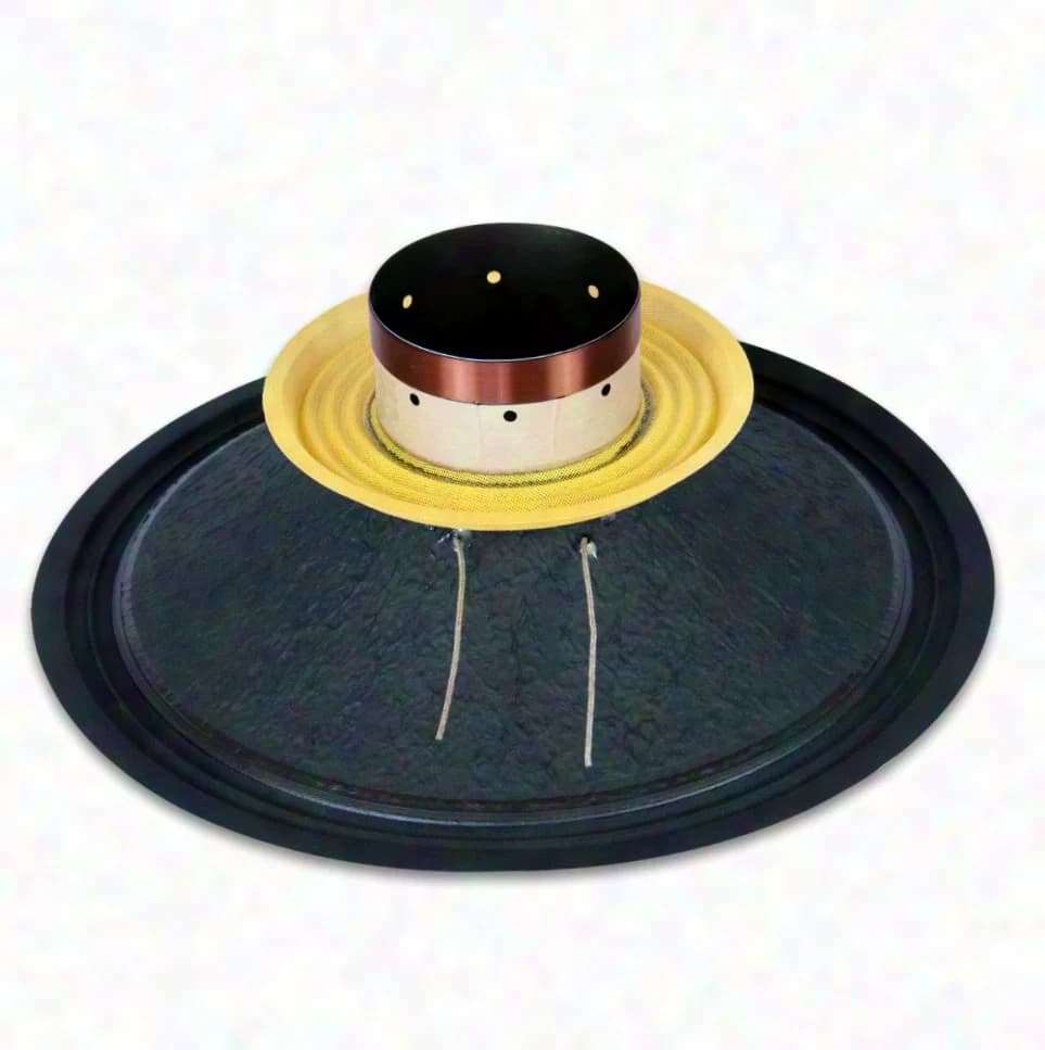 Master Audio LSN18/8 4 or 8 Ohm 18" 18 inch 800 w RMS cast basket PA woofer bass chassis speaker