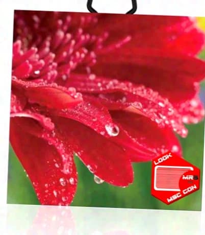 NEW at MSC CON MR5pro 1.953mm / INDOOR HIGH Quality / Professional-Flexible