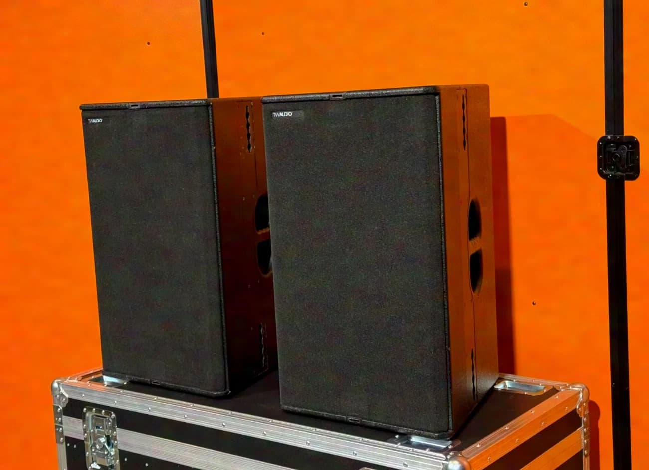TW AUDIO T24P Speaker