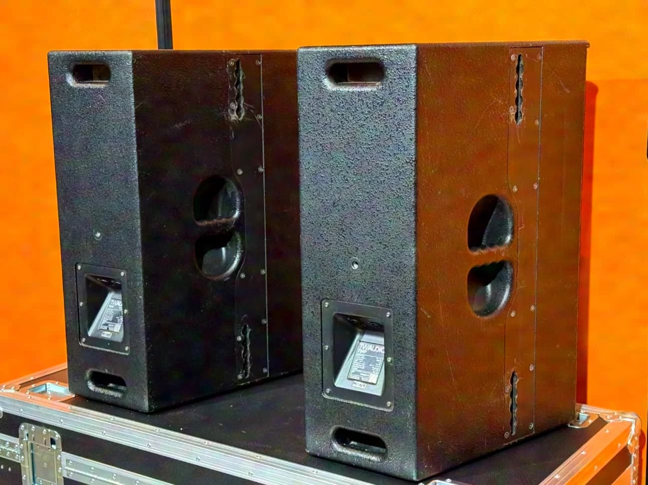 TW AUDIO T24P Speaker